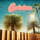 Brixton Single