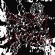 ALIVE feat KAMIYADA Single