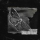 Shallow Grave feat Taylor Barber Single
