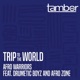 Trip to the World feat Drumetic Boyz Afro Zone Single