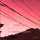 Sigsegv Single