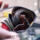 Rétro Single