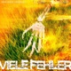 Viele Fehler Single