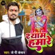 Shyam Hamare Single
