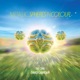 Metallic Spheres In Colour Movement 3 Excerpt Single