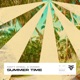 Summer Time Single