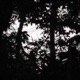 The Night Person EP