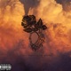 Roses in the Clouds Single