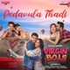Pedavula Thadi From Virgin Boys Single
