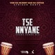 Tse Nyane Remixes Single