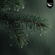 Shadows Wet Branches Single