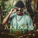 Zoológico Single