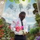 Lonely Single