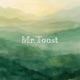 Mr Toast Instrumental Single