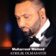 Ayrılık Olmasaydı Single