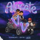 Alocate Vv Single