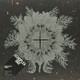 Higher Ground Single