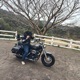 Cowboy de Harley Single