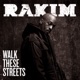 Walk These Streets feat Maino and Tracey Horton Single