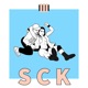 Sck feat avi Single