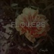 Flowers Single