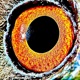 BIRDSEYEVIEW Single