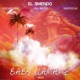 Baby Llamame RMX Single