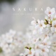 Sakura Single