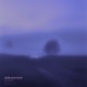 Disillusionment Slowed Reverb Single