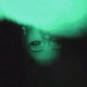 Fall in Drugs Bloomcr4zy Single
