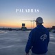 Palabras Single