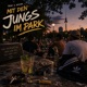 Mit den Jungs im Park Single