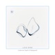 Love Wins Single