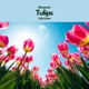 Tulips feat Lulu Love Single