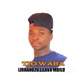 Lirhandzu Lilava Mbilu Single