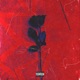 Don t Love Me Slowed Reverb Single