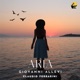 Giovanni Allevi Aria Arr for Flute by Claudio Ferrarini Single