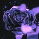 The One BCMP Remix Single