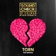 Torn Remixes feat Ryan Riback Ed Colman EP