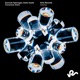 Conscious State Single