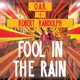 Fool In The Rain Single