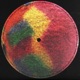 The Collection Single