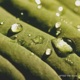 After the Rain Single