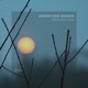Midnight Sun Single