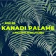 Kannadi Palame Single