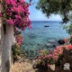 Panarea Single