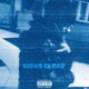 SIGNS CLEAR feat TeatheTruth Single