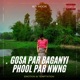 Gosa par baganyi phool par nwng Single
