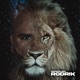 Rodrik Single