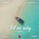 Tell Me Why feat K Mass Shoreline Single